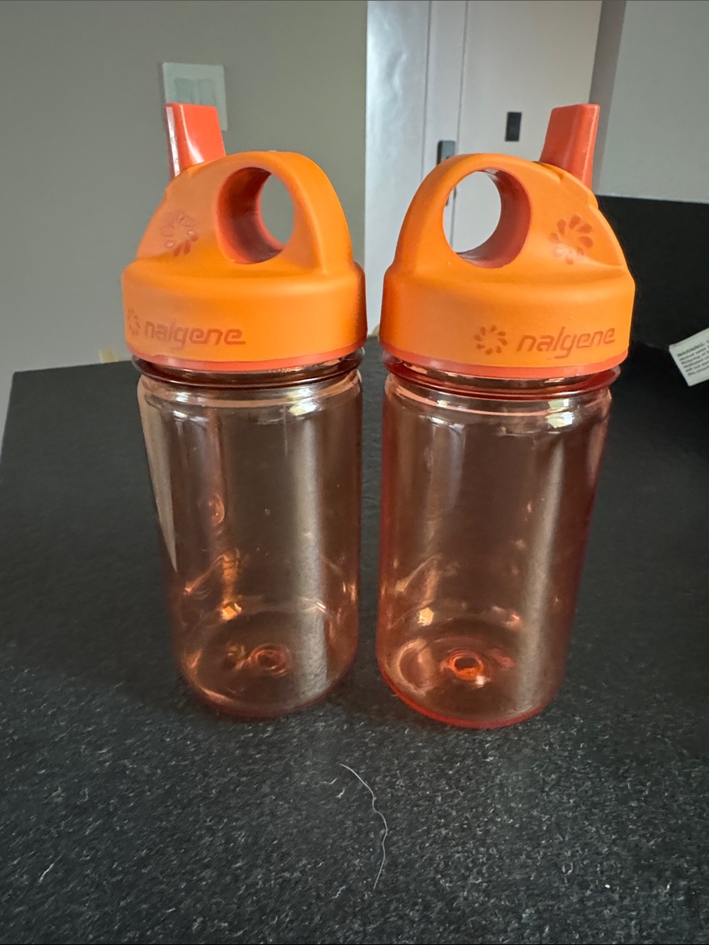 Nalgene Orange Kids Water Bottles - Set of 2